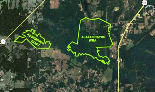 Location of 486-acre subject tract in relation to Alazan Bayou WMA