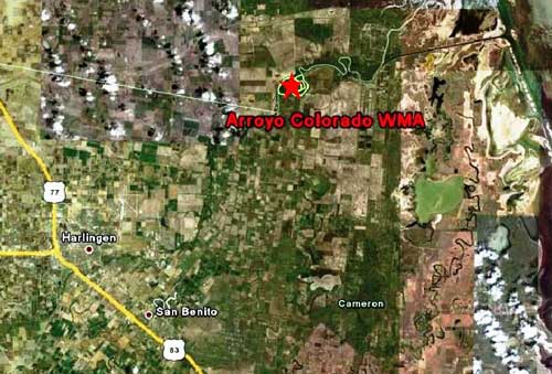 Location of Arroyo Colorado WMA in relation to Harlingen, TX and San Benito, TX