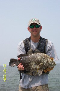 Photo of tripletail