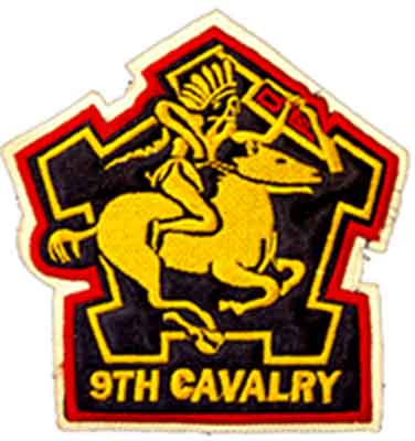 Texas Buffalo Soldier 9th Cavalry Patch