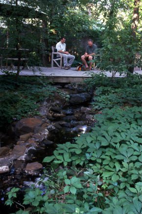 Two men sitting on patio next to a wildscape