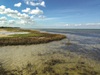 3 - Coastal Marsh Shallows on Matagorda Bay at Powderhorn Ranch