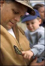 Father and Son with Butterfly