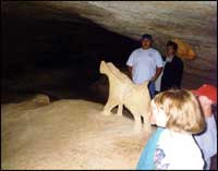 Children in Longhorn Cavern