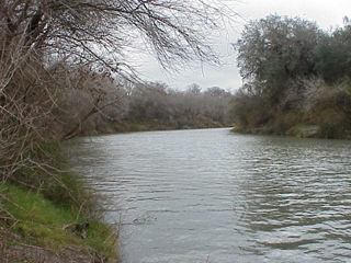 Nueces River downstream of Lake Corpus Christi